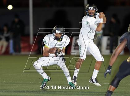 Thumbnail 1 in Poly vs Narbonne  photogallery.