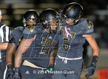 Thumbnail 1 in Poly vs Narbonne  photogallery.