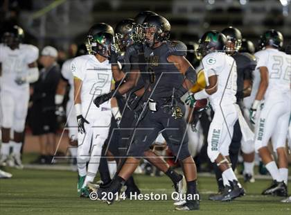 Thumbnail 3 in Poly vs Narbonne  photogallery.