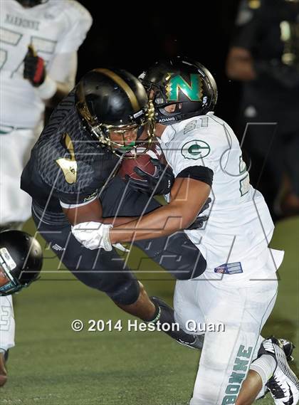 Thumbnail 2 in Poly vs Narbonne  photogallery.
