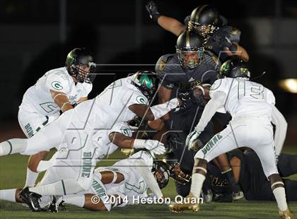 Thumbnail 1 in Poly vs Narbonne  photogallery.