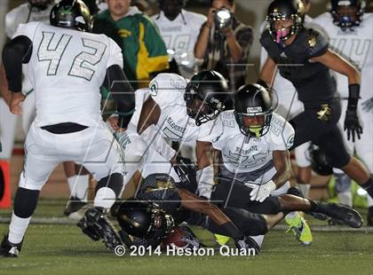 Thumbnail 2 in Poly vs Narbonne  photogallery.
