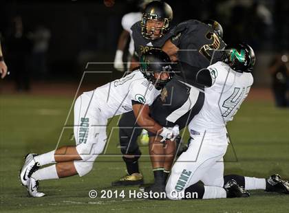 Thumbnail 1 in Poly vs Narbonne  photogallery.