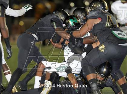 Thumbnail 2 in Poly vs Narbonne  photogallery.