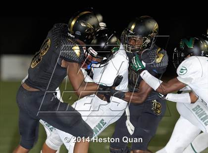 Thumbnail 1 in Poly vs Narbonne  photogallery.