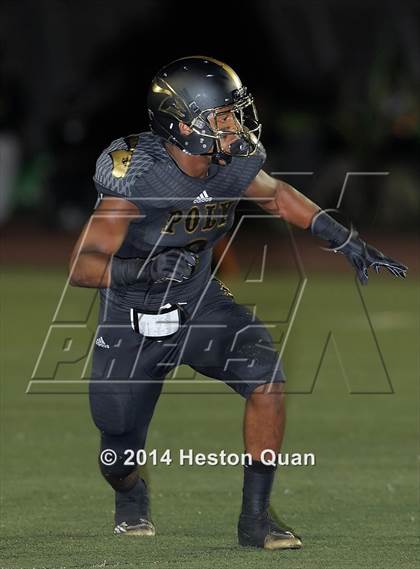 Thumbnail 1 in Poly vs Narbonne  photogallery.