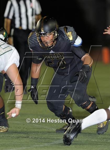 Thumbnail 1 in Poly vs Narbonne  photogallery.