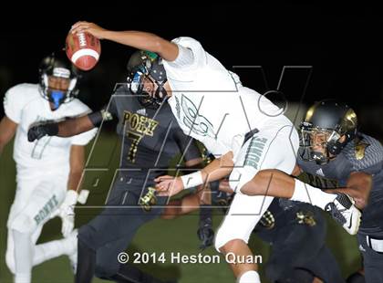 Thumbnail 1 in Poly vs Narbonne  photogallery.