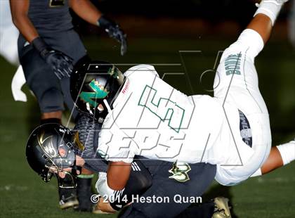 Thumbnail 3 in Poly vs Narbonne  photogallery.