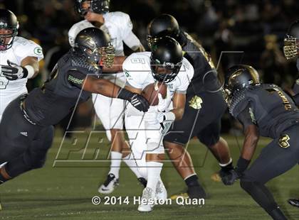 Thumbnail 1 in Poly vs Narbonne  photogallery.