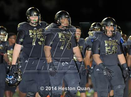 Thumbnail 3 in Poly vs Narbonne  photogallery.