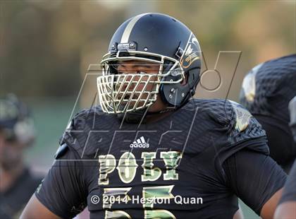 Thumbnail 2 in Poly vs Narbonne  photogallery.
