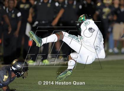 Thumbnail 1 in Poly vs Narbonne  photogallery.