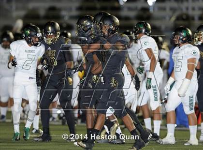 Thumbnail 2 in Poly vs Narbonne  photogallery.