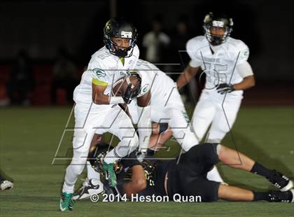 Thumbnail 1 in Poly vs Narbonne  photogallery.
