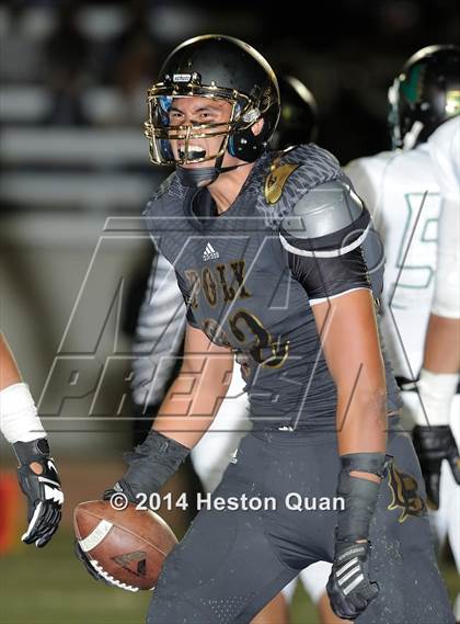 Thumbnail 2 in Poly vs Narbonne  photogallery.