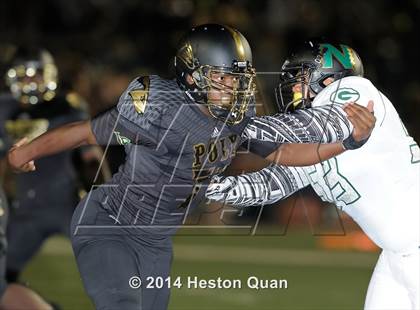 Thumbnail 3 in Poly vs Narbonne  photogallery.