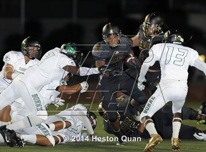 Thumbnail 3 in Poly vs Narbonne  photogallery.
