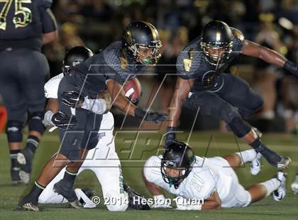 Thumbnail 1 in Poly vs Narbonne  photogallery.