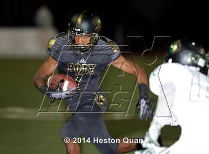 Thumbnail 2 in Poly vs Narbonne  photogallery.