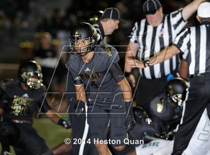 Thumbnail 1 in Poly vs Narbonne  photogallery.