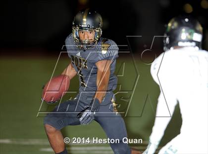 Thumbnail 3 in Poly vs Narbonne  photogallery.