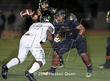 Thumbnail 2 in Poly vs Narbonne  photogallery.