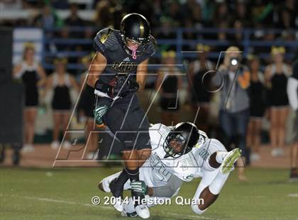Thumbnail 1 in Poly vs Narbonne  photogallery.