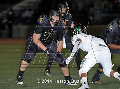 Thumbnail 1 in Poly vs Narbonne  photogallery.
