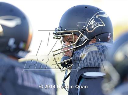 Thumbnail 2 in Poly vs Narbonne  photogallery.