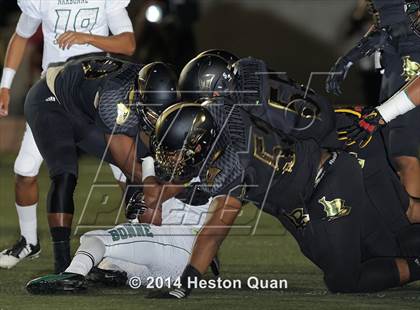 Thumbnail 2 in Poly vs Narbonne  photogallery.