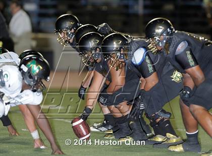 Thumbnail 2 in Poly vs Narbonne  photogallery.