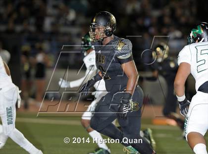 Thumbnail 1 in Poly vs Narbonne  photogallery.