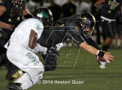 Thumbnail 3 in Poly vs Narbonne  photogallery.