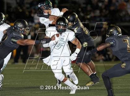 Thumbnail 3 in Poly vs Narbonne  photogallery.