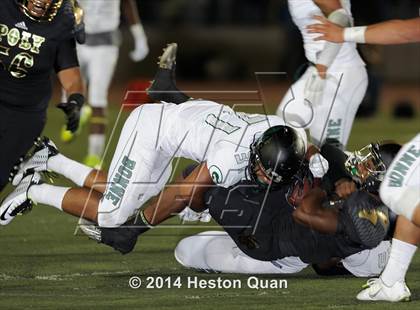 Thumbnail 2 in Poly vs Narbonne  photogallery.