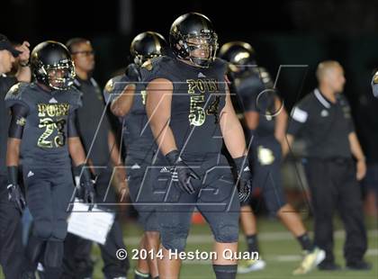 Thumbnail 1 in Poly vs Narbonne  photogallery.