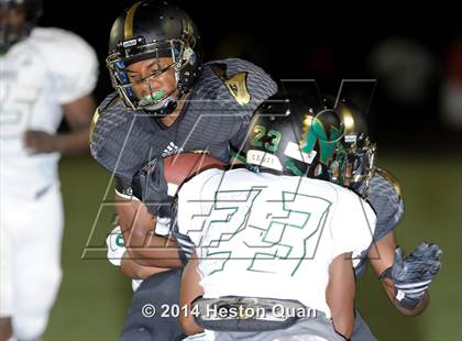 Thumbnail 3 in Poly vs Narbonne  photogallery.