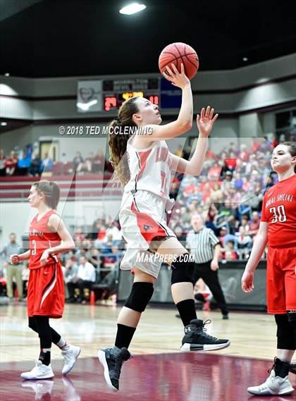 Thumbnail 2 in Norfork vs. Rural Special (AAA 1A 2nd Round Playoff) photogallery.
