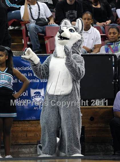 Thumbnail 3 in Jesuit vs. Sheldon (CIF SJS D1 Final) photogallery.