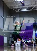 Photo from the gallery "Redmond @ Lake Washington"