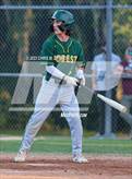Photo from the gallery "Forest @ Trinity Catholic"