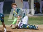 Photo from the gallery "Forest @ Trinity Catholic"