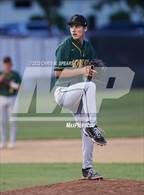 Photo from the gallery "Forest @ Trinity Catholic"