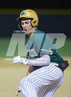 Photo from the gallery "Forest @ Trinity Catholic"