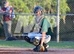 Photo from the gallery "Forest @ Trinity Catholic"