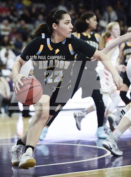 Thumbnail 3 in Seton Catholic vs Shadow Mountain (AIA 4A Semifinal) photogallery.