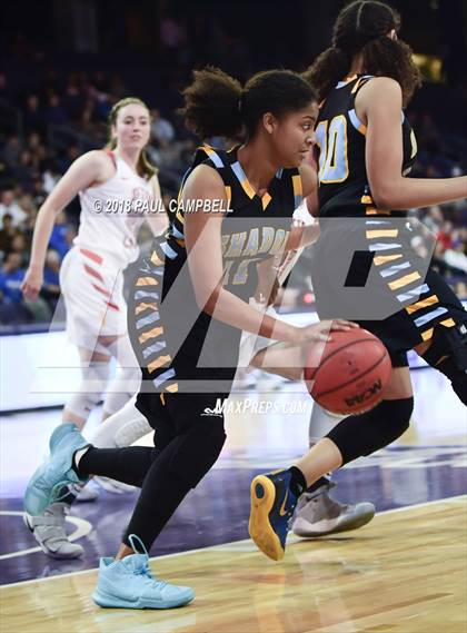 Thumbnail 3 in Seton Catholic vs Shadow Mountain (AIA 4A Semifinal) photogallery.