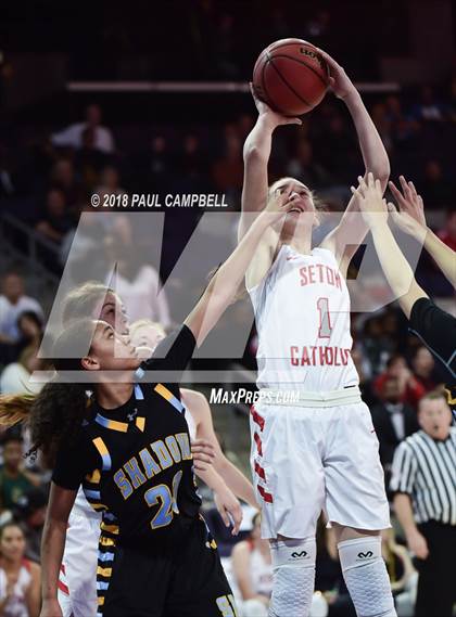 Thumbnail 3 in Seton Catholic vs Shadow Mountain (AIA 4A Semifinal) photogallery.