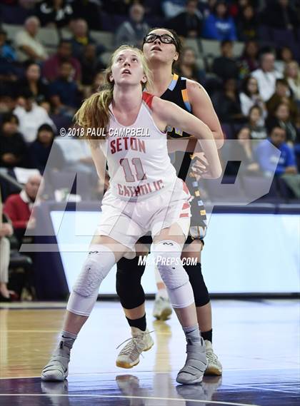 Thumbnail 1 in Seton Catholic vs Shadow Mountain (AIA 4A Semifinal) photogallery.